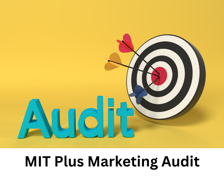 mit plus marketing audit