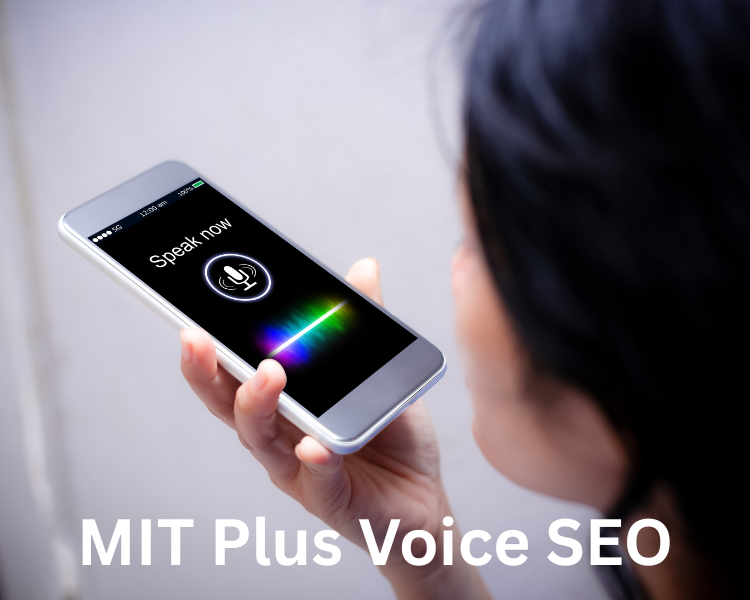 mit plus voice seo